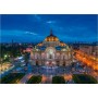 Ravensburger PUZZLE PALATUL DE ARTE, 1000 PIESE