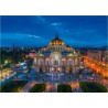 Ravensburger PUZZLE PALATUL DE ARTE, 1000 PIESE