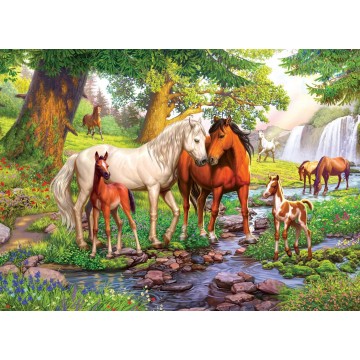 Ravensburger PUZZLE FAMILIE DE CAI LA RAU, 300 PIESE
