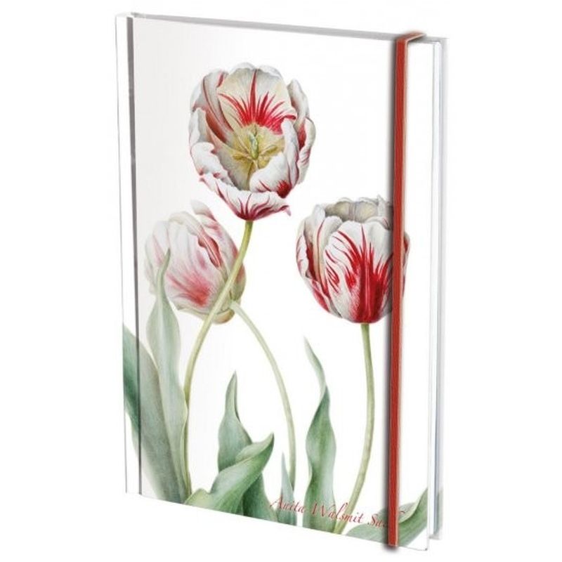 Agenda nedatata cu coperti tari si elastic A5 Tulipa 'Teyler', Anita Walsmit Sachs Agenda nedatata cu coperti tari si elastic A5 Tulipa 'Teyler', Anita Walsmit Sachs