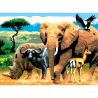 Pictura pe numere juniori - Africa