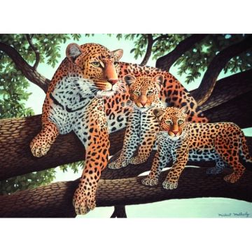 Pictura pe numere juniori Leopard african