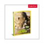 CUBICFUN PUZZLE 3D+BROSURA-ANIMALE SALBATICE 69 PIESE