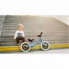 Lionelo - Bicicleta fara pedale Bart, Goldie