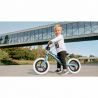 Lionelo - Bicicleta fara pedale Bart, Goldie
