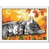 Ravensburger PICTURA PE NUMERE - PISICUTE SOMNOROASE