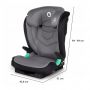 Lionelo - Scaun auto i-Size Neal, cu Isofix, 15-36 kg, Grey Srone