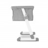 Lionelo Patut 2 in 1 Co-Sleeper Theo Grey