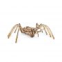 EWA Set constructie cu mecanism Puzzle 3D SPIDER din lemn 293 piese @ EWA