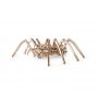 EWA Set constructie cu mecanism Puzzle 3D SPIDER din lemn 293 piese @ EWA