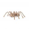 EWA Set constructie cu mecanism Puzzle 3D SPIDER din lemn 293 piese @ EWA