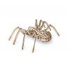 EWA Set constructie cu mecanism Puzzle 3D SPIDER din lemn 293 piese @ EWA