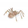 EWA Set constructie cu mecanism Puzzle 3D SPIDER din lemn 293 piese @ EWA