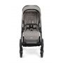 Joie-Carucior multifunctional 2 in 1 Chrome Pebble