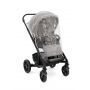 Joie-Carucior multifunctional 2 in 1 Chrome Pebble