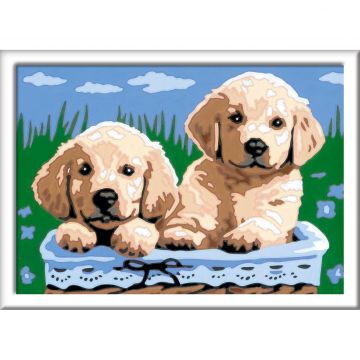 Ravensburger Pictura pe numere Catelusi