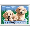 Ravensburger PICTURA PE NUMERE - CATELUSI