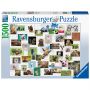 Ravensburger PUZZLE COLAJ CU ANIMALE, 1500 PIESE