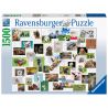 Ravensburger PUZZLE COLAJ CU ANIMALE, 1500 PIESE