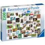 Ravensburger PUZZLE COLAJ CU ANIMALE, 1500 PIESE