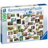 Ravensburger PUZZLE COLAJ CU ANIMALE, 1500 PIESE
