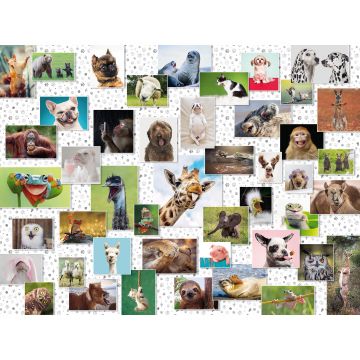 Ravensburger Puzzle colaj cu animale 1500 piese