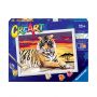 Ravensburger PICTURA PE NUMERE - TIGRU