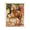 Pictura pe numere master Cal in galop