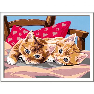 Ravensburger Pictura pe numere Pisicute