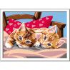 Ravensburger PICTURA PE NUMERE - PISICUTE