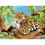 Pictura pe numere juniori Leopard