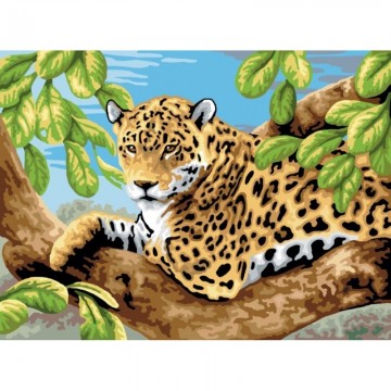 Pictura pe numere juniori Leopard