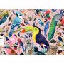 Ravensburger PUZZLE PASARILE LUI MATT SEWELL, 1000 PIESE