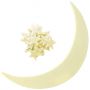 Imagine Station Decoratiuni de perete fosforescente - Luna si stele