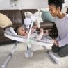 Ingenuity - Leagan portabil AnyWay Sway™, Spruce