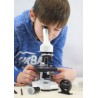BUKI France Microscop - 50 experimente