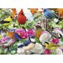 Puzzle Pasari, 500 Piese