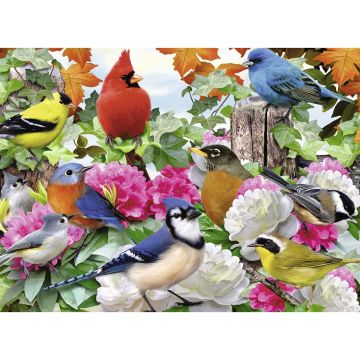 Ravensburger Puzzle Pasari, 500 piese