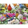 Puzzle Pasari, 500 Piese