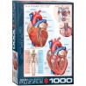 Eurographics Puzzle 1000 piese The Heart