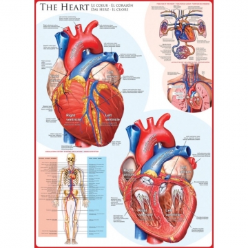 Eurographics Puzzle 1000 piese The Heart