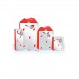 Punga de iarna / Craciun - Reni & Merry Christmas B