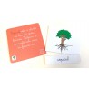 Lectii Montessori - Lecţii de botanica