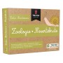 Lecții Montessori - Zoologie. Nevertebrate