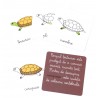 Lecții Montessori - Zoologie • Vertebrate