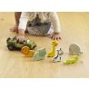 Set safari, Orange Tree Toys