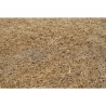 Babyneeds Saltea pentru copii Cocos Confort II 120x60x8 cm