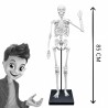 BUKI France Schelet 85 cm