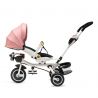 Juju Tricicleta copii Juju Bliss Ride, Roz