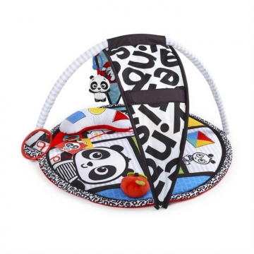 Baby Einstein 11398 Salteluta de activitati Bold New World